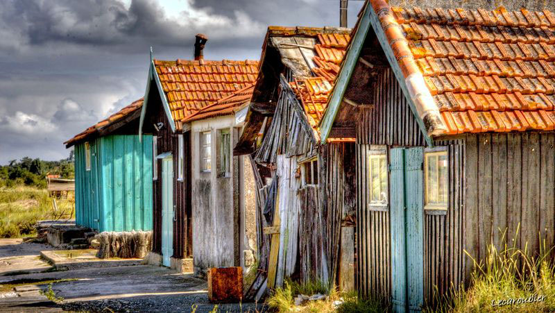 Tiny House sans roue alignées à Oléron